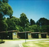 Katoomba Falls Caravan Park - Accommodation Main Beach