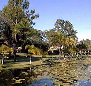 Twin Lakes Hotel - Accommodation Main Beach