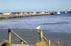 Seaview Motel And Holiday Units - Accommodation Main Beach 0