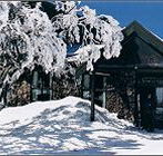 Arlberg Hotel Mt Buller - Accommodation Main Beach