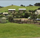 Ace Hi Riding Ranch - Accommodation Main Beach