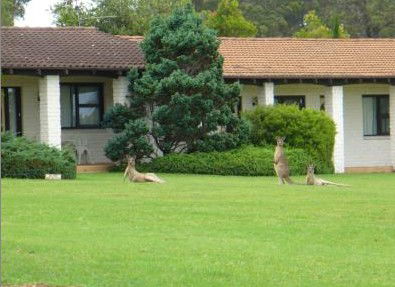The Oaks Ranch & Country Club - Accommodation Main Beach 1