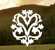  Accommodation Main Beach