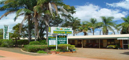 Avocado Motor Inn - Accommodation Main Beach 0
