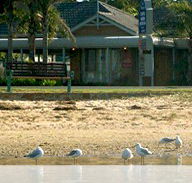 Best Western Coastal Waters Motor Inn - Accommodation Main Beach