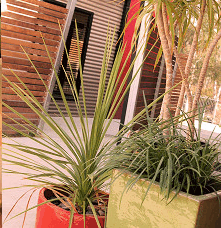 Adelphi Apartments - Accommodation Main Beach 1