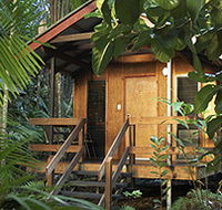 Cape Trib Beach House - Accommodation Main Beach