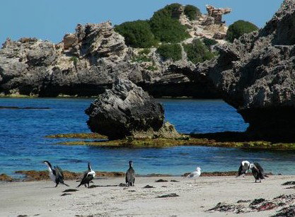 Beachside Apartment Hotel - Accommodation Main Beach 2