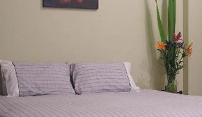 Stingo Hotel - Accommodation Main Beach 0