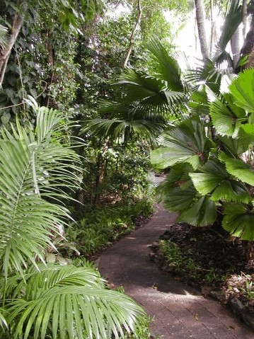Rainforest Grove Holiday Resort - Accommodation Main Beach 1