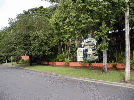 Rainforest Grove Holiday Resort - Accommodation Main Beach 2