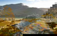 Upper Murray Resort - Accommodation Main Beach 1