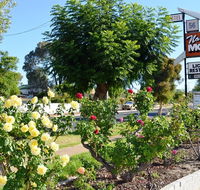 Narrogin Motel - Accommodation Main Beach