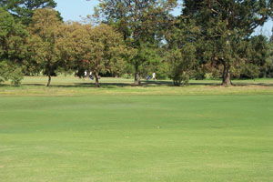 Beach Motor Inn - Accommodation Main Beach 7
