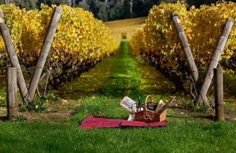 Lindenderry At Red Hill - Accommodation Main Beach 5