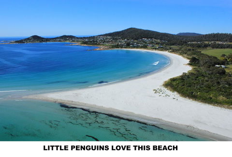 Diamond Island Resort - Accommodation Main Beach 5