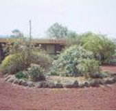 Beaufort Motel - Accommodation Main Beach