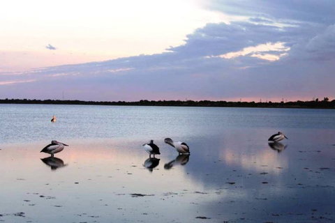Coobowie Lodge - Accommodation Main Beach 3