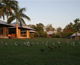 Jingili NT Accommodation Main Beach