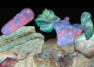 Umoona Opal Mine - Accommodation Main Beach 1