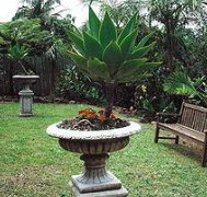 Bangalow Retreat - Accommodation Main Beach