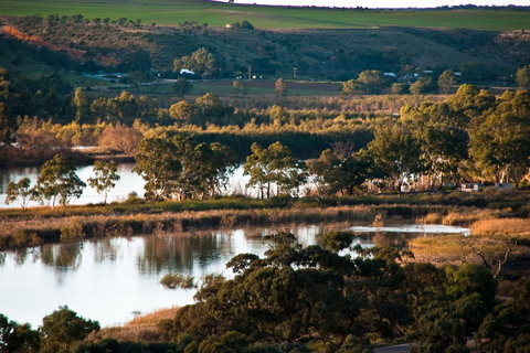 Riverview Rise Retreats - Accommodation Main Beach 3