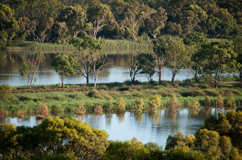 Riverview Rise Retreats - Accommodation Main Beach 4