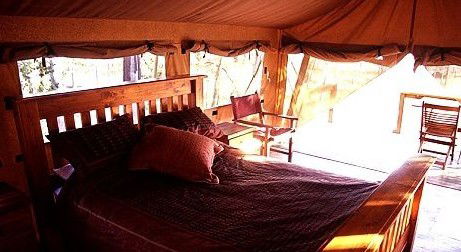 Jabiru Safari Lodge At Mareeba Wetlands - Accommodation Main Beach 1