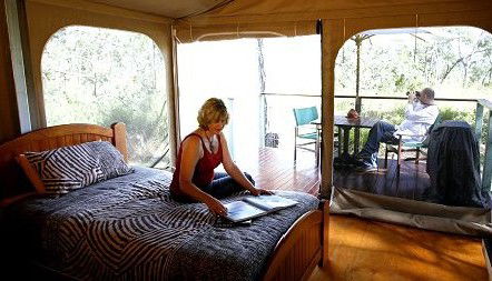 Jabiru Safari Lodge At Mareeba Wetlands - Accommodation Main Beach 2