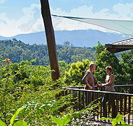 Rose Gums Wilderness Retreat - Accommodation Main Beach