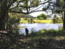 Lapoinya TAS Accommodation Main Beach