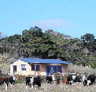 Marrawah Beach House - Accommodation Main Beach