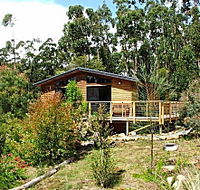 Southern Forest Accommodation - Accommodation Main Beach