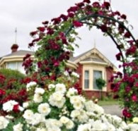 Golden Embers Apartments and B and B - Accommodation Main Beach