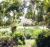 Cherry Park Estate - Accommodation Main Beach