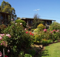 Mole Creek Holiday Village