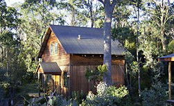 Cradle Mountain Highlanders - Accommodation Main Beach 1