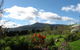 Plovers Ridge Country Retreat - thumb 1