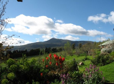 Plovers Ridge Country Retreat - Accommodation Main Beach 1