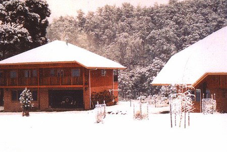 Stringy Bark Holiday Accommodation - Accommodation Main Beach 1