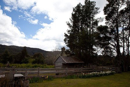 Gowrie Park Wilderness Village - Accommodation Main Beach 5