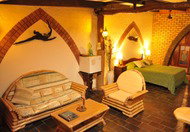 Cedar Park Rainforest Resort - Accommodation Main Beach 0