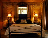 Cedar Park Rainforest Resort - Accommodation Main Beach 3