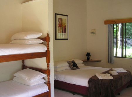 Lync-Haven Rainforest Retreat - Accommodation Main Beach 1