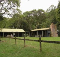 Tree Fern Lodge - Accommodation Main Beach