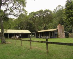 Tree Fern Lodge - Accommodation Main Beach 0