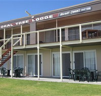 Coral Tree Lodge Tourist Park - Accommodation Main Beach