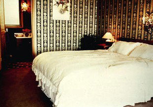 Avalanche Homestead - Accommodation Main Beach 1