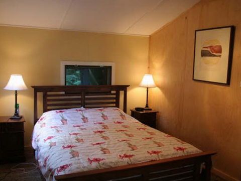 Tree Fern Lodge - Accommodation Main Beach 3