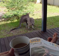 Bush and Bay Cottage - Accommodation Main Beach